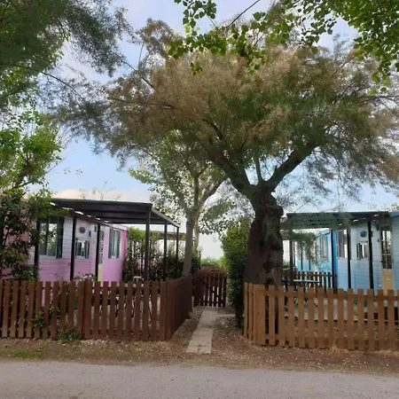 Pet Family Camping Cortina 캠프장 세니갈리아